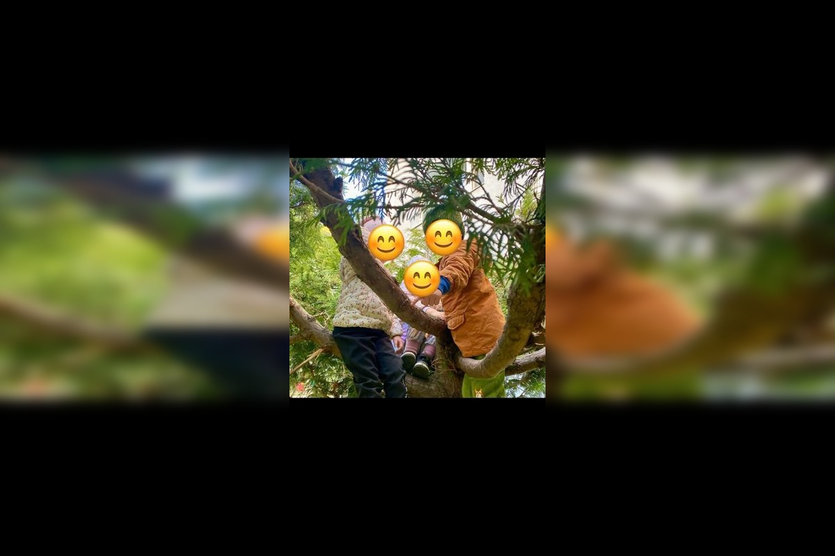 FOTO: Spomienky na vypílené stromy v Podlaviciach, foto 1