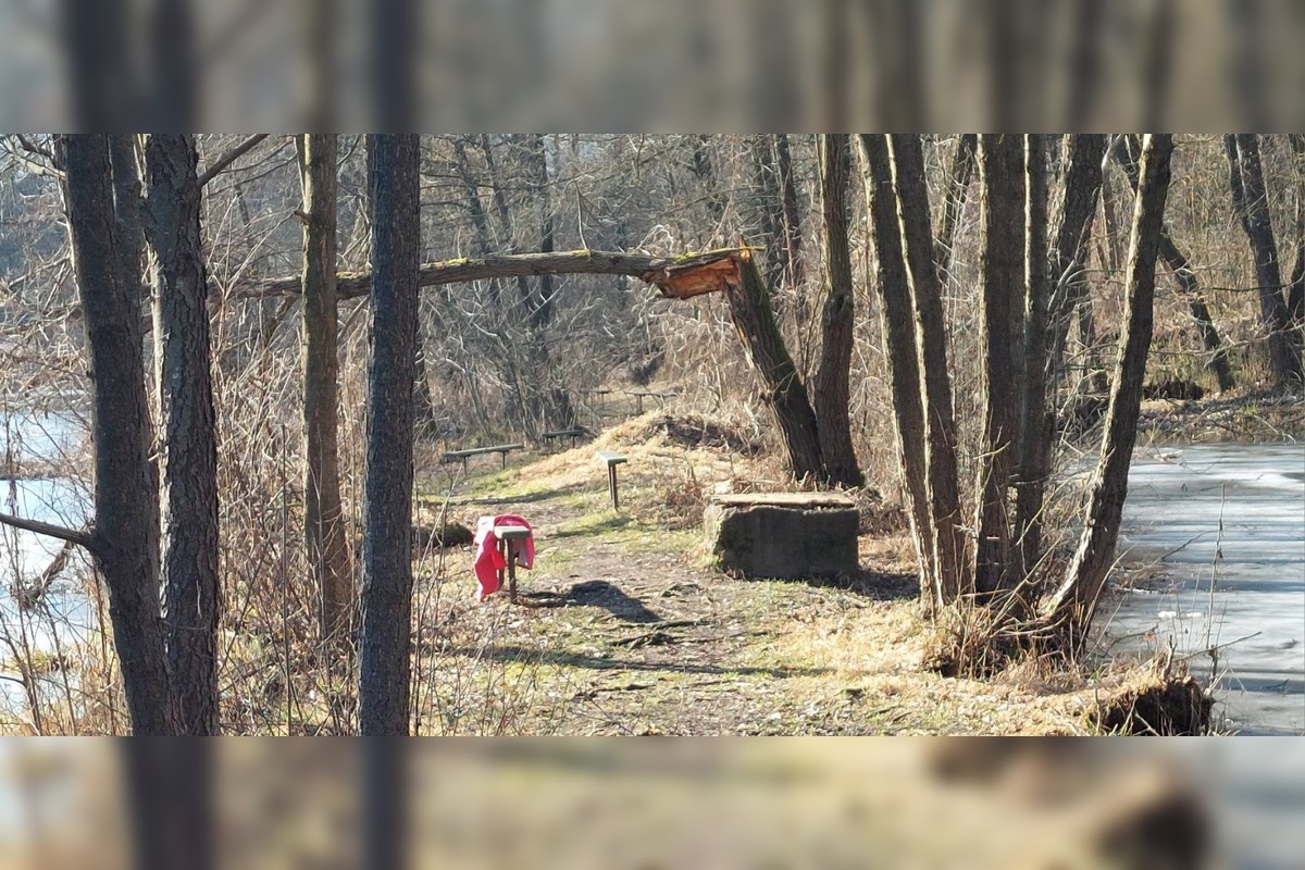 FOTO: Pri rybníku na Uhlisku pribúdajú popadané stromy, foto 6