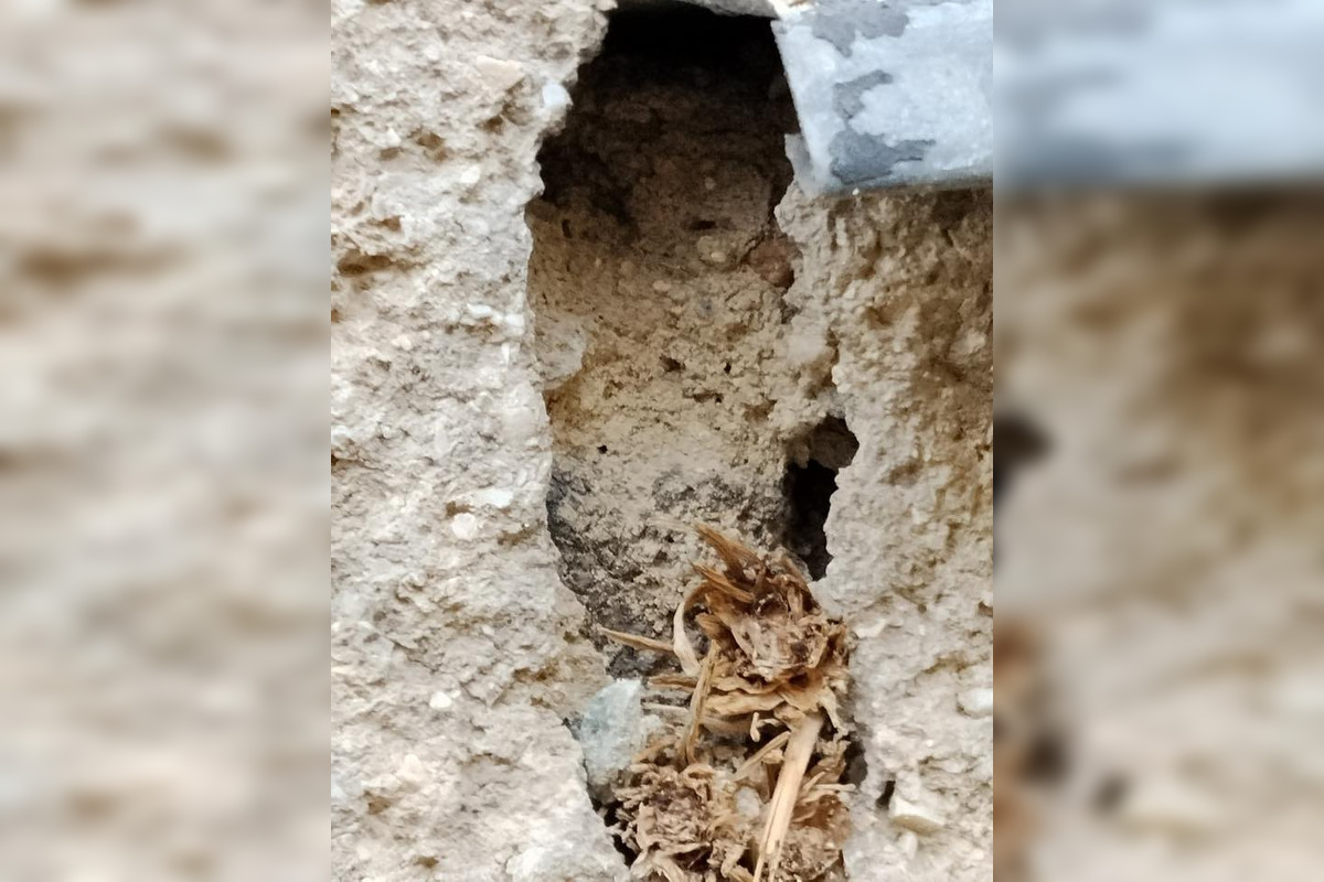 FOTO: Lekárka pri Lučenci ordinuje vo veľmi zlých priestoroch, foto 8