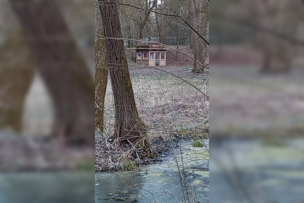 FOTO: Z kedysi krásneho miesta nad Zvolenom je ruina, foto 4