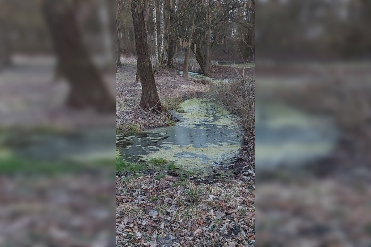 FOTO: Z kedysi krásneho miesta nad Zvolenom je ruina, foto 7