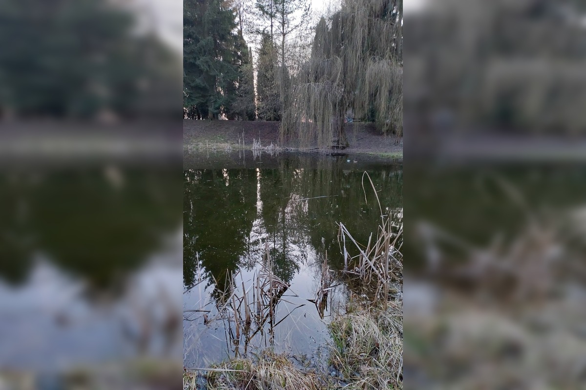 FOTO: Z kedysi krásneho miesta nad Zvolenom je ruina, foto 5