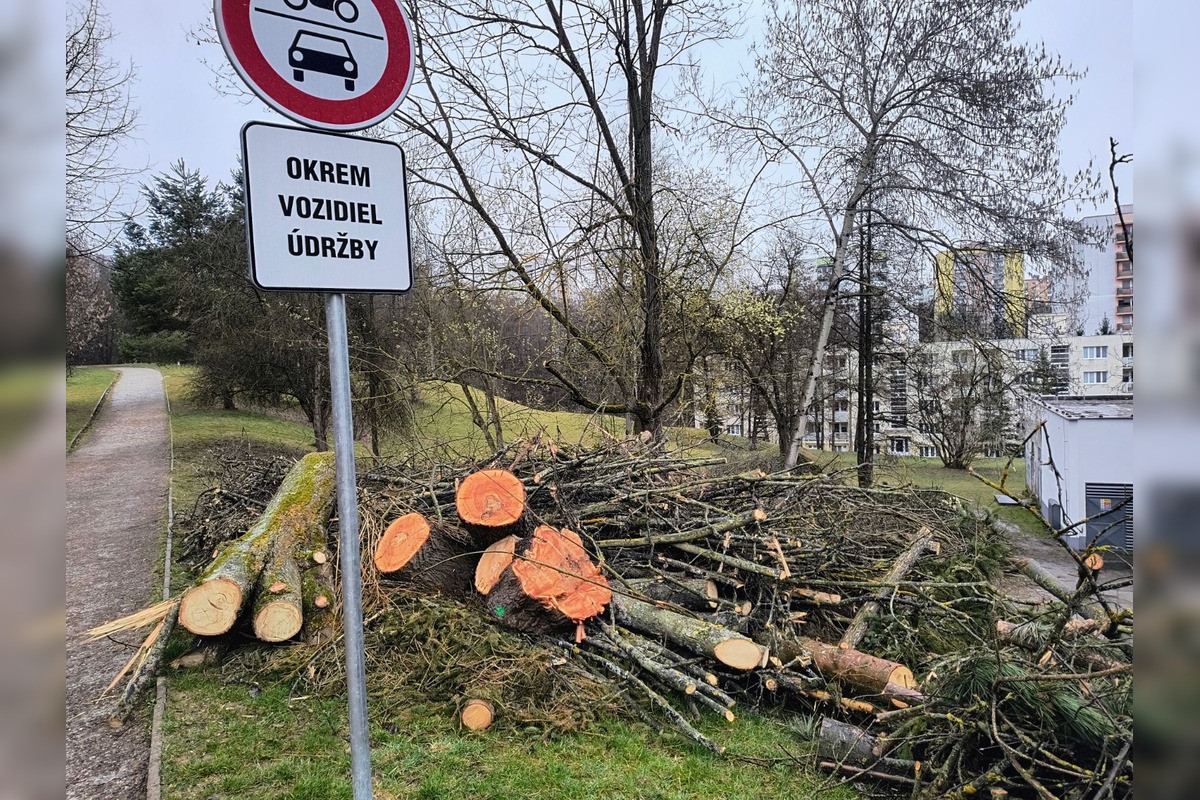FOTO: Kmene stromov zaberajú parkovacie miesta, foto 4