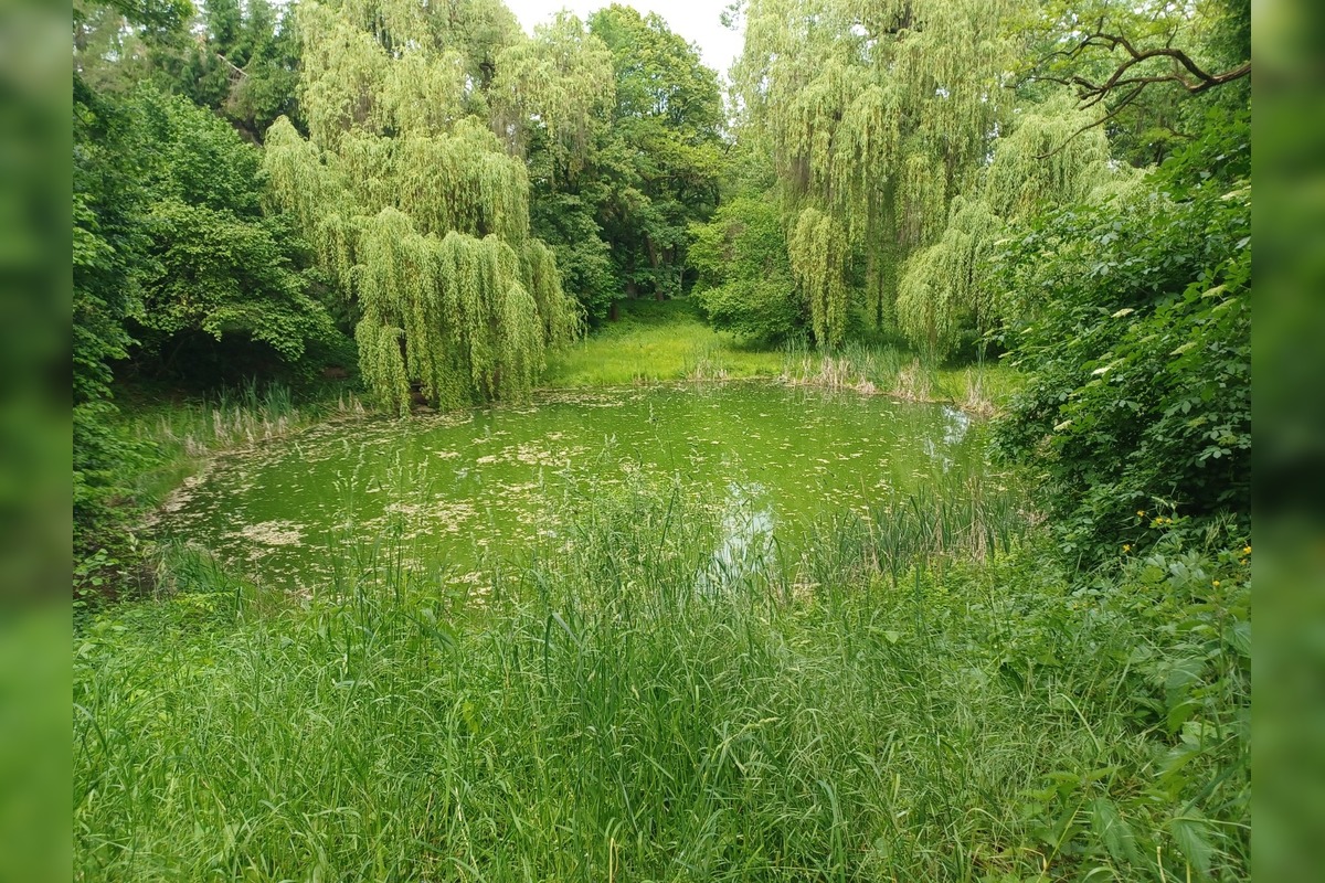 FOTO: Zvolen plánuje veľkú obnovu Borovej hory, foto 2