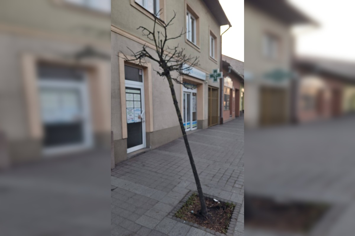 FOTO: Následky vandalizmu v Brezne, foto 5