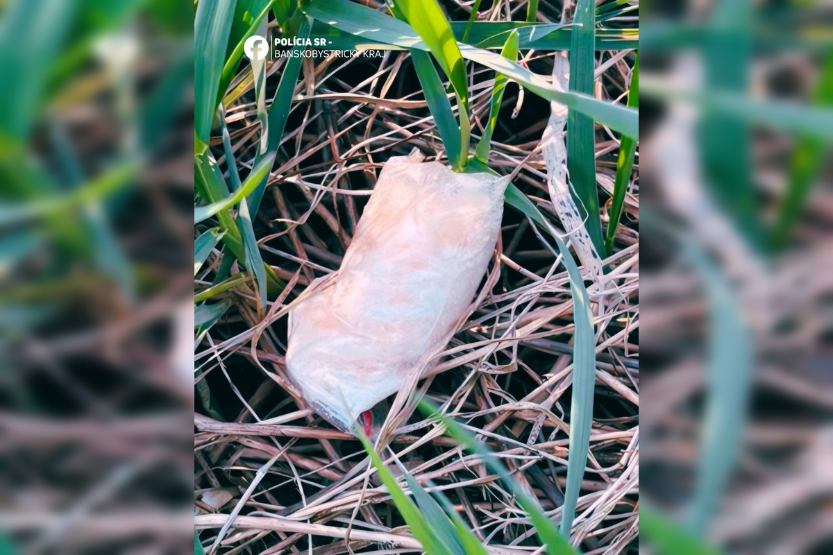 FOTO: Polícia vo Zvolene zaistila drogy a zadržala šesť osôb pri razii, foto 2