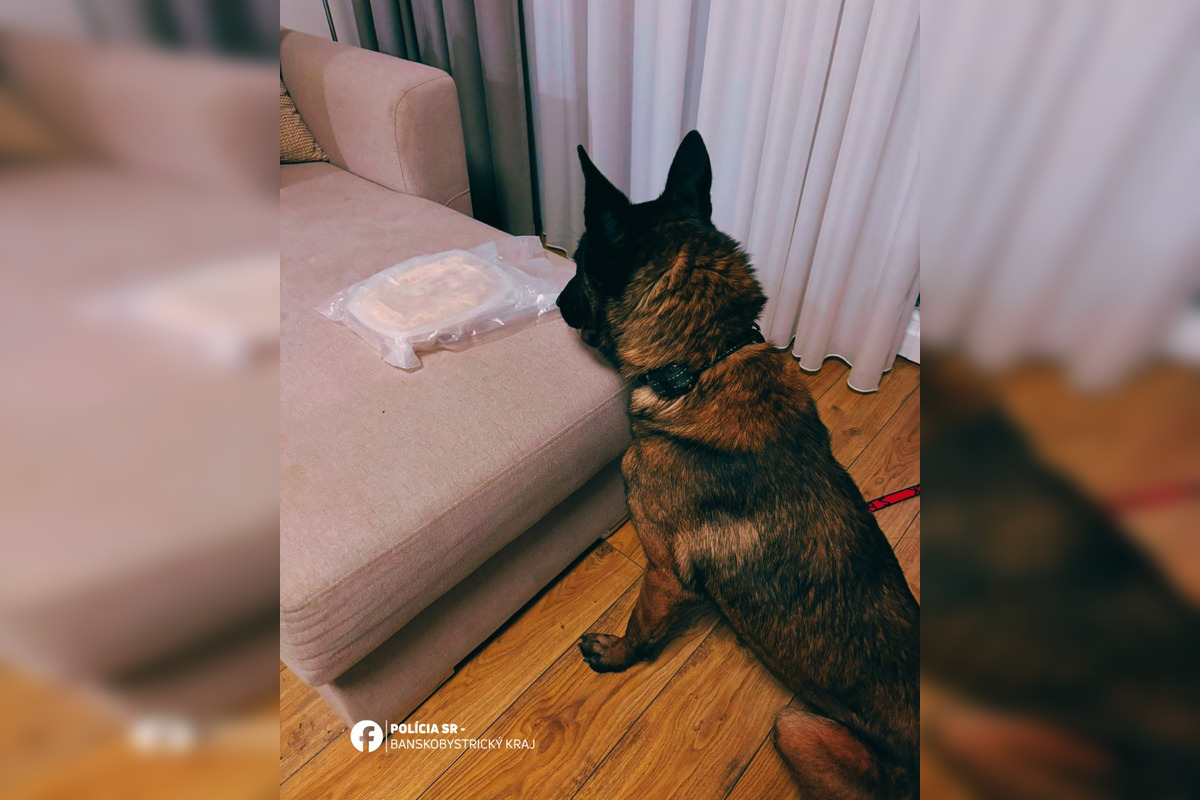 FOTO: Polícia vo Zvolene zaistila drogy a zadržala šesť osôb pri razii, foto 4