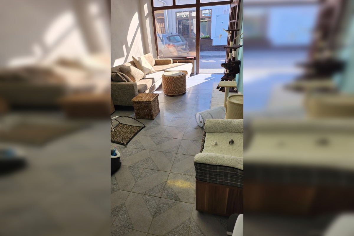 FOTO: Občianske združenie poskytovalo pomoc pre mačky a psíkov, foto 6