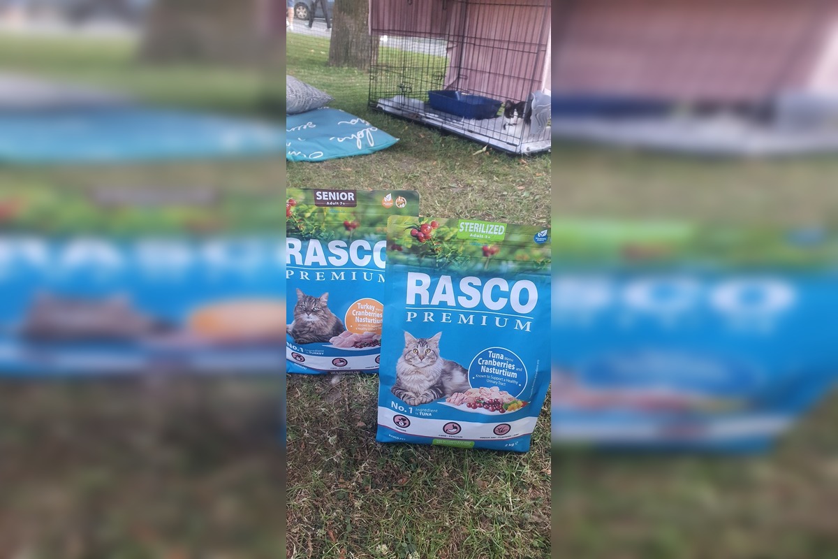 FOTO: Občianske združenie poskytovalo pomoc pre mačky a psíkov, foto 7