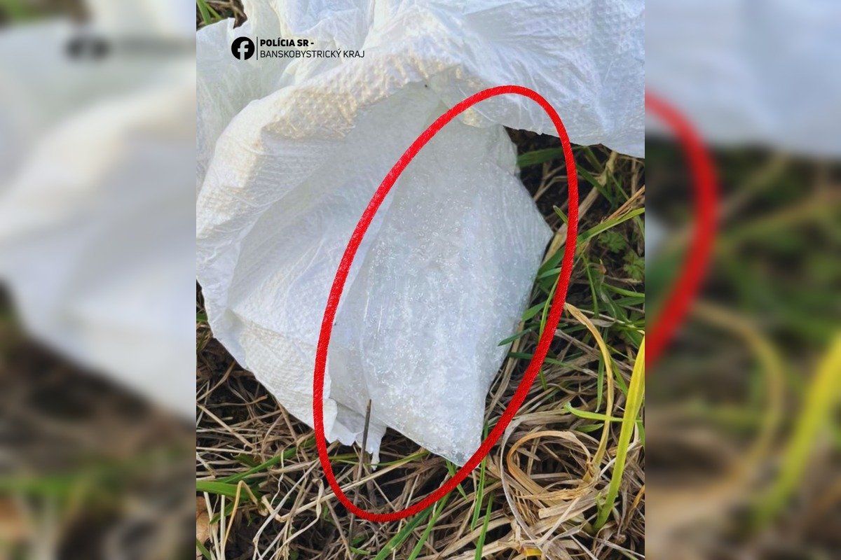 FOTO: Bežná kontrola prerástla do vážneho prípadu, foto 2