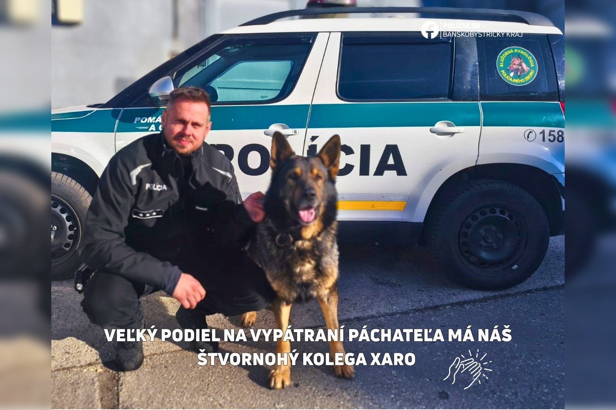 FOTO: Bežná kontrola prerástla do vážneho prípadu, foto 4