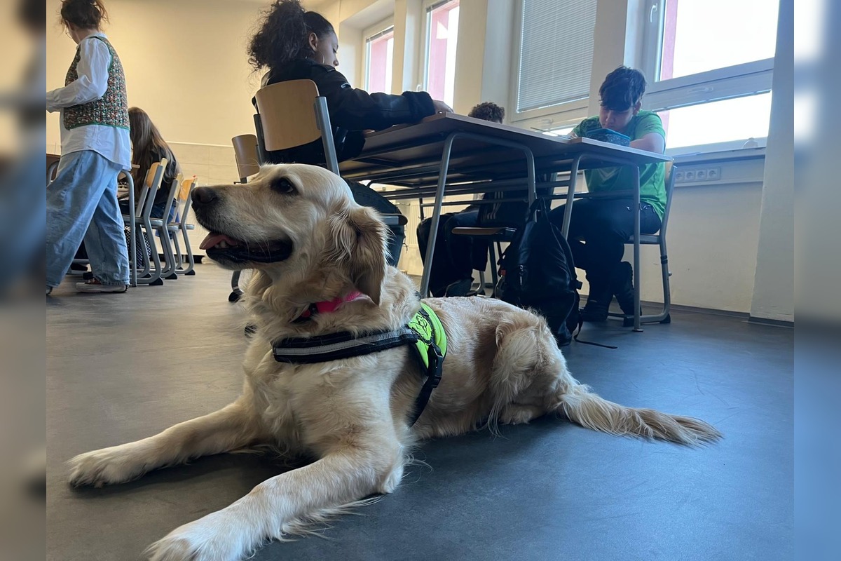 FOTO: Rodáčka z Detvy mení školu aj osudy detí, foto 1