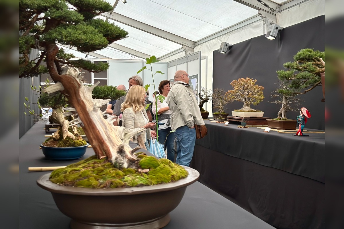 FOTO: V Banskobystrickom kraji to bude žiť na viacerých miestach, foto 3