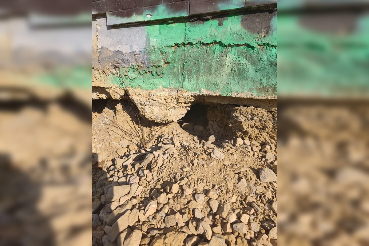 FOTO: Líška sa pravidelne vracia na sídlisko v Bystrici, foto 3