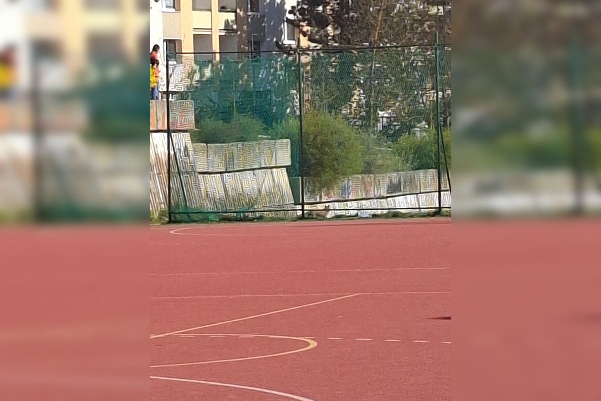 FOTO: Líška sa pravidelne vracia na sídlisko v Bystrici, foto 4