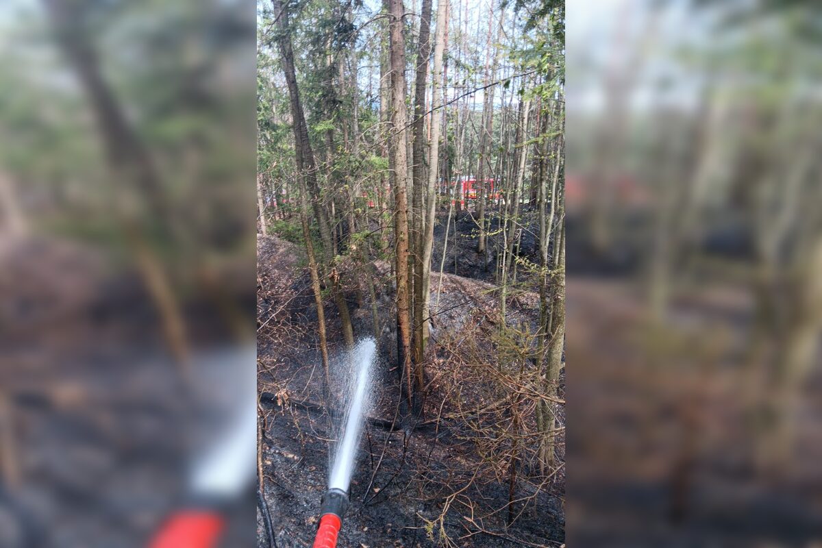 FOTO: Hasiči zasahovali pri dvoch požiaroch v Banskobystrickom kraji, foto 3