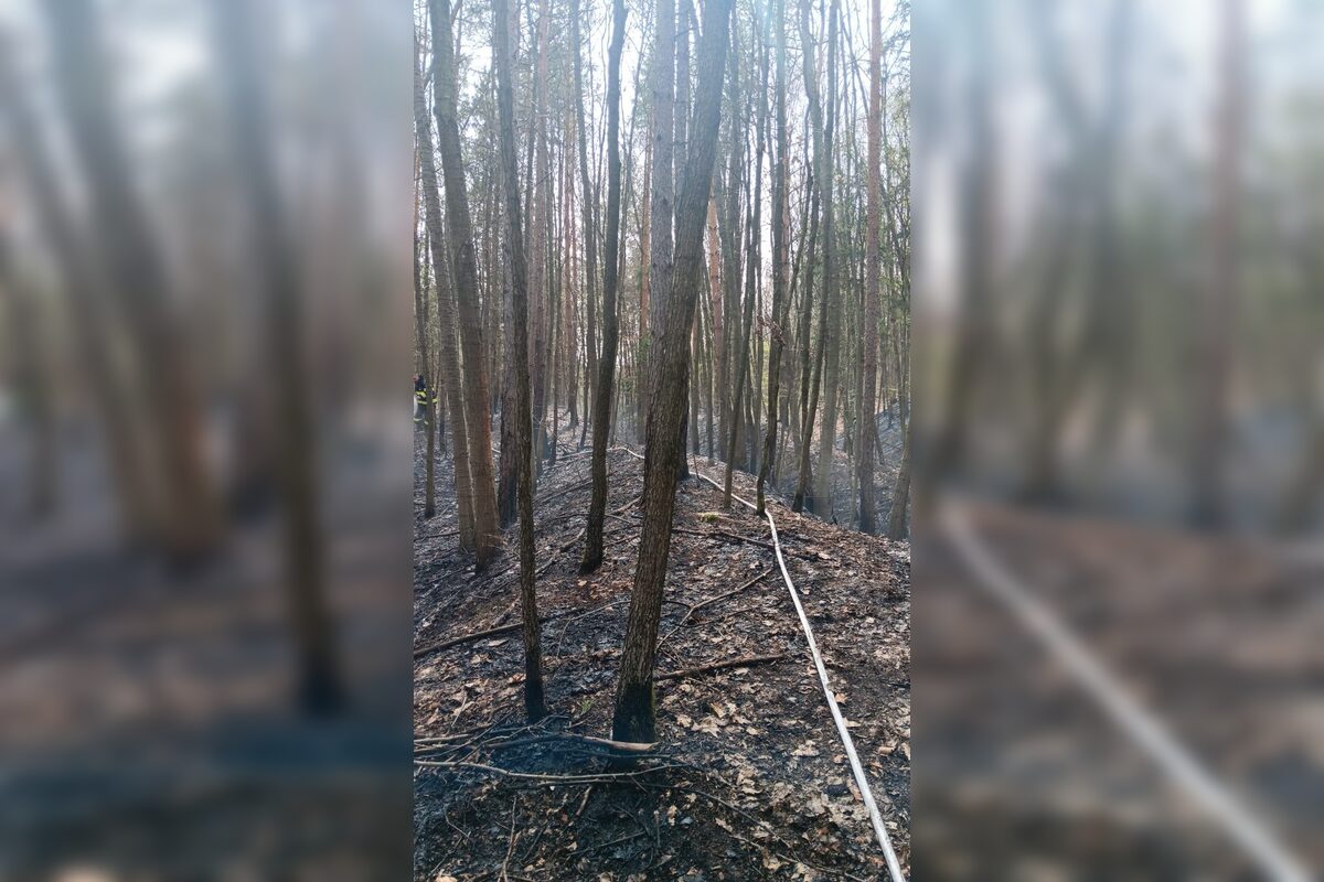 FOTO: Hasiči zasahovali pri dvoch požiaroch v Banskobystrickom kraji, foto 5