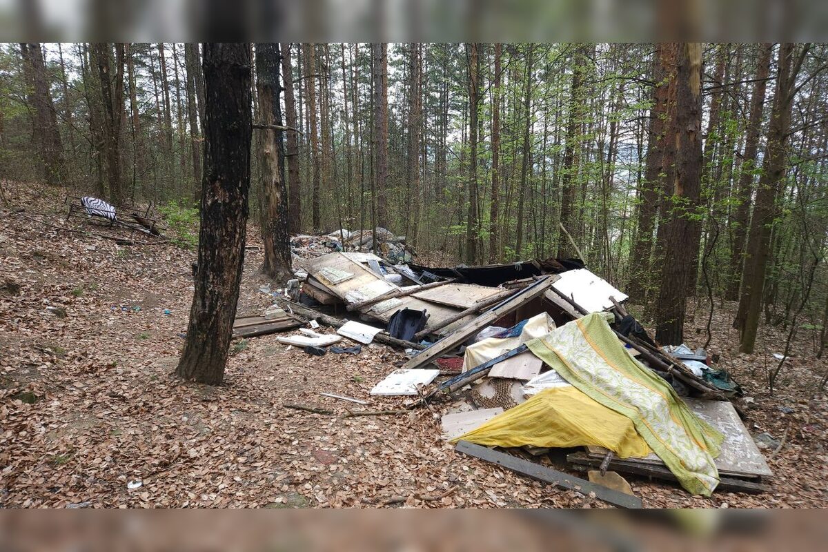 FOTO: Les nad Tulskou ulicou v Banskej Bystrici trápi neporiadok, foto 1