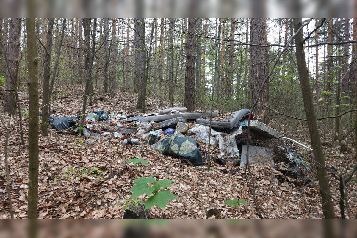 FOTO: Les nad Tulskou ulicou v Banskej Bystrici trápi neporiadok, foto 3