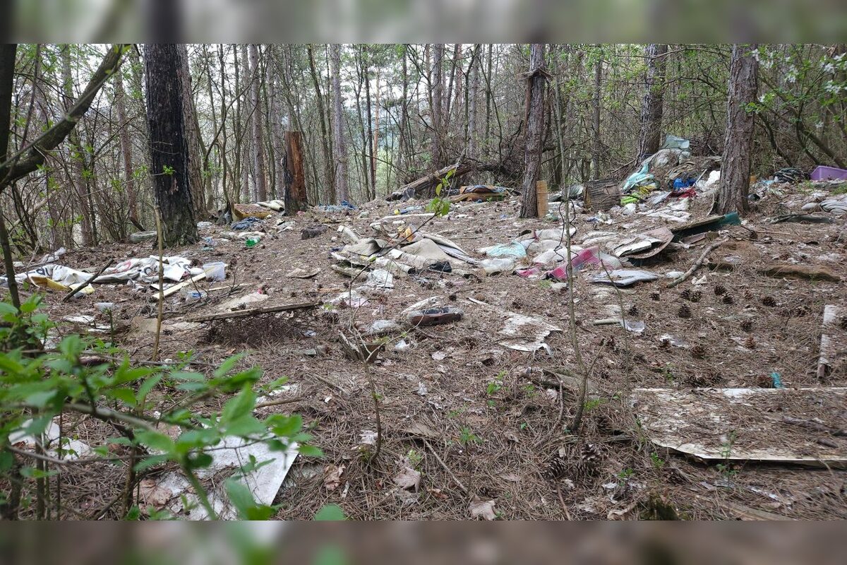 FOTO: Les nad Tulskou ulicou v Banskej Bystrici trápi neporiadok, foto 4