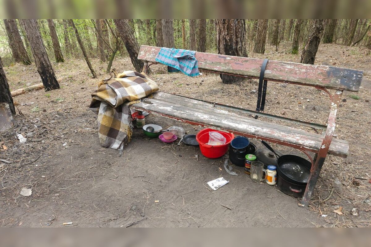 FOTO: Les nad Tulskou ulicou v Banskej Bystrici trápi neporiadok, foto 5