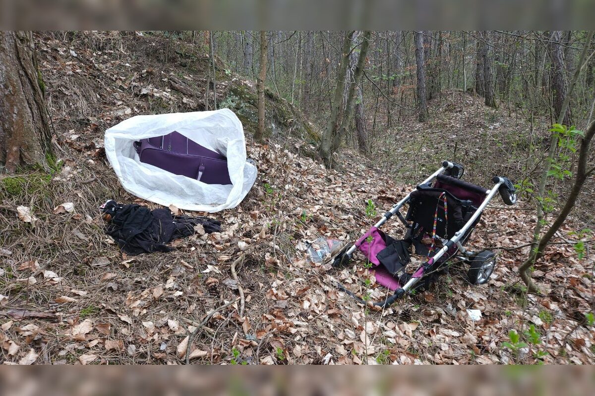 FOTO: Les nad Tulskou ulicou v Banskej Bystrici trápi neporiadok, foto 6