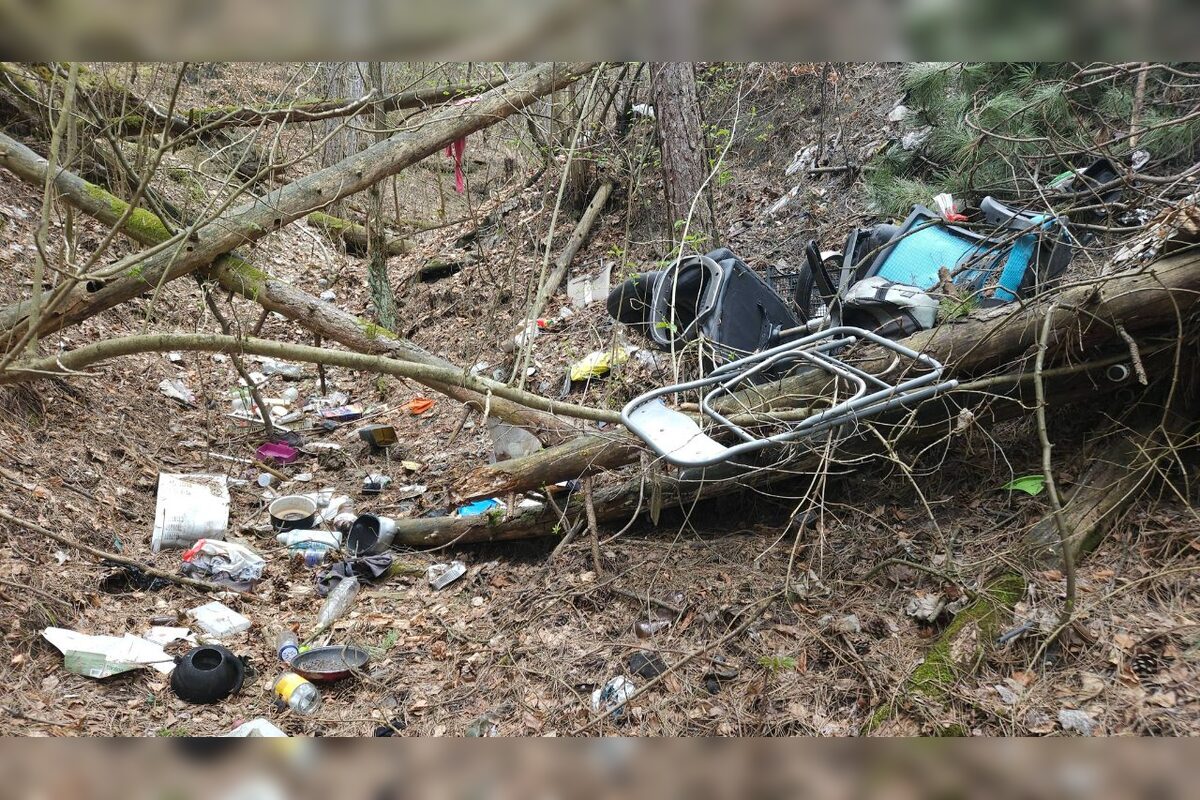 FOTO: Les nad Tulskou ulicou v Banskej Bystrici trápi neporiadok, foto 7