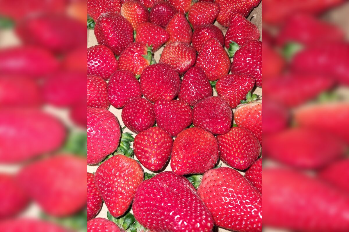 FOTO: Kremničan otvoril vlastný obchod, foto 4