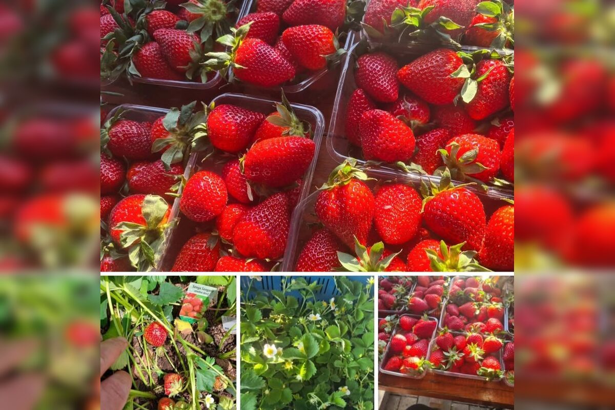 FOTO: Kremničan otvoril vlastný obchod, foto 7