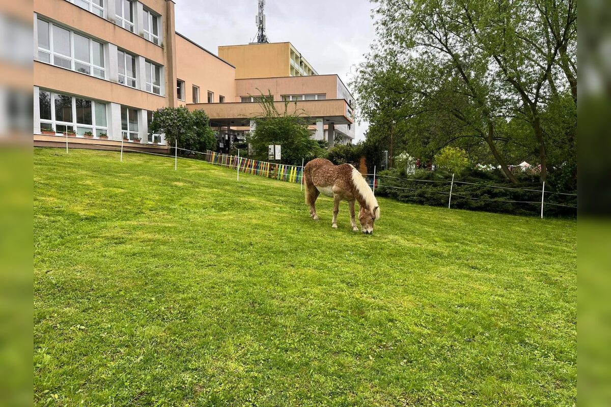 FOTO: Víkend plný zážitkov, vyberte si z podujatí naprieč celým krajom, foto 3