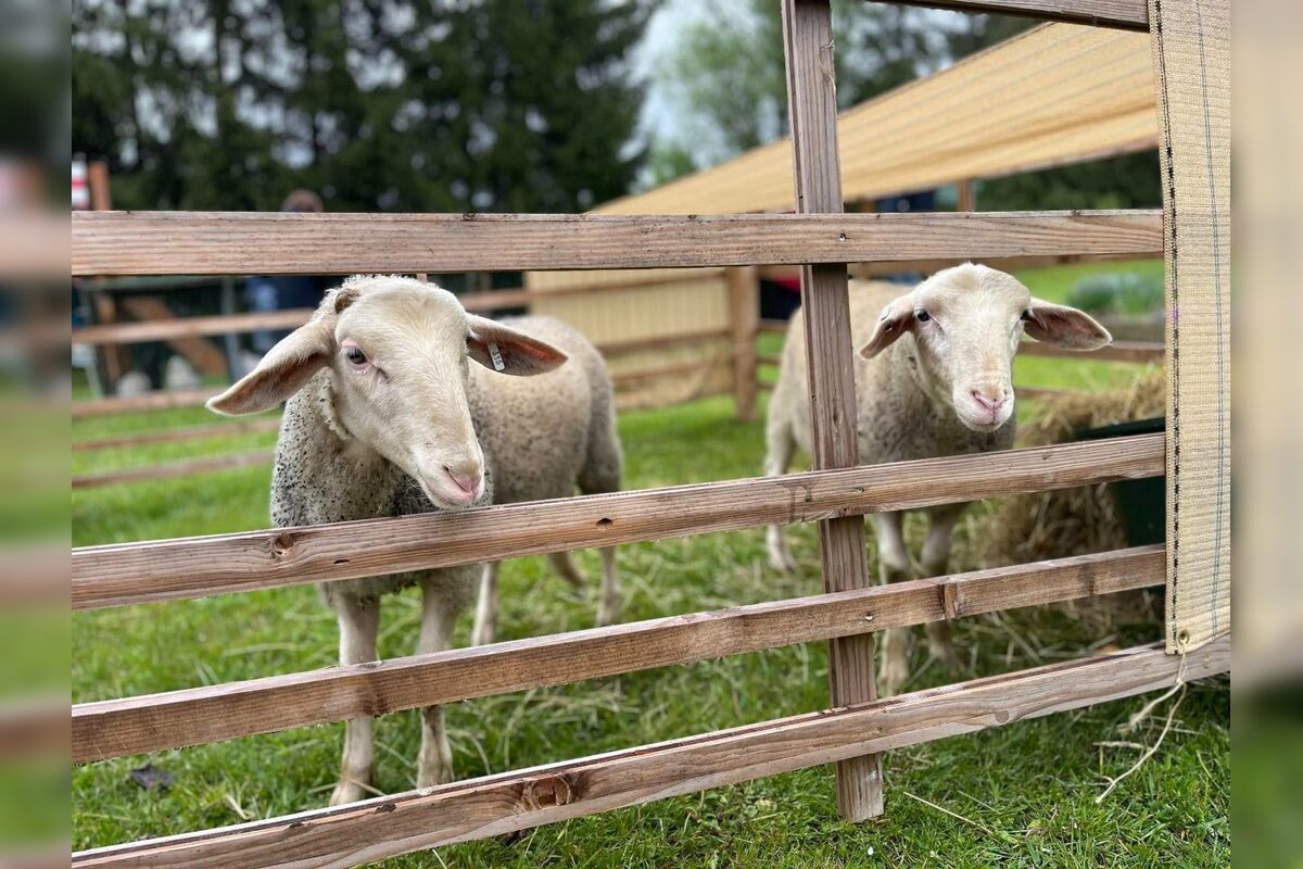 FOTO: Víkend plný zážitkov, vyberte si z podujatí naprieč celým krajom, foto 6