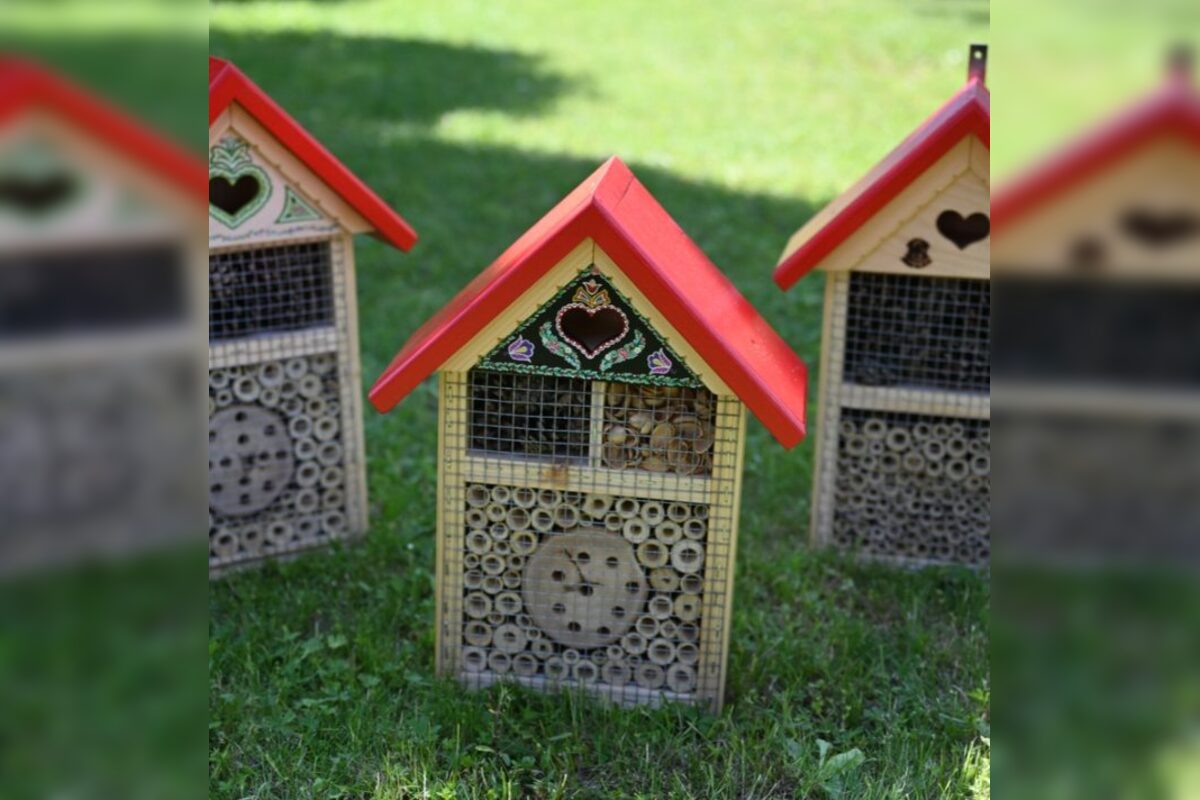 FOTO: Výrobky Jozefa Slávika, foto 3