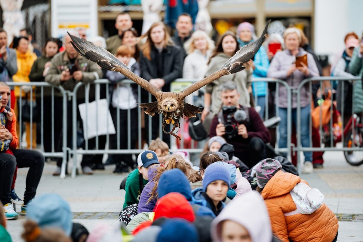 FOTO: Podujatia na najbližší víkend v Banskobystrickom kraji, foto 4