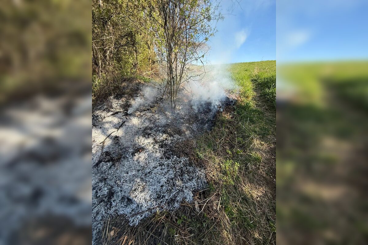 FOTO: Oheň nad Fončordou prišli uhasiť hasiči, foto 1