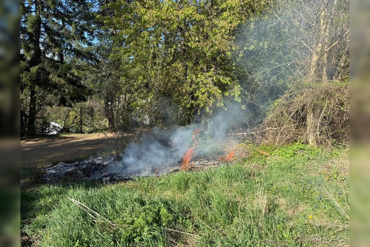 FOTO: Oheň nad Fončordou prišli uhasiť hasiči, foto 5
