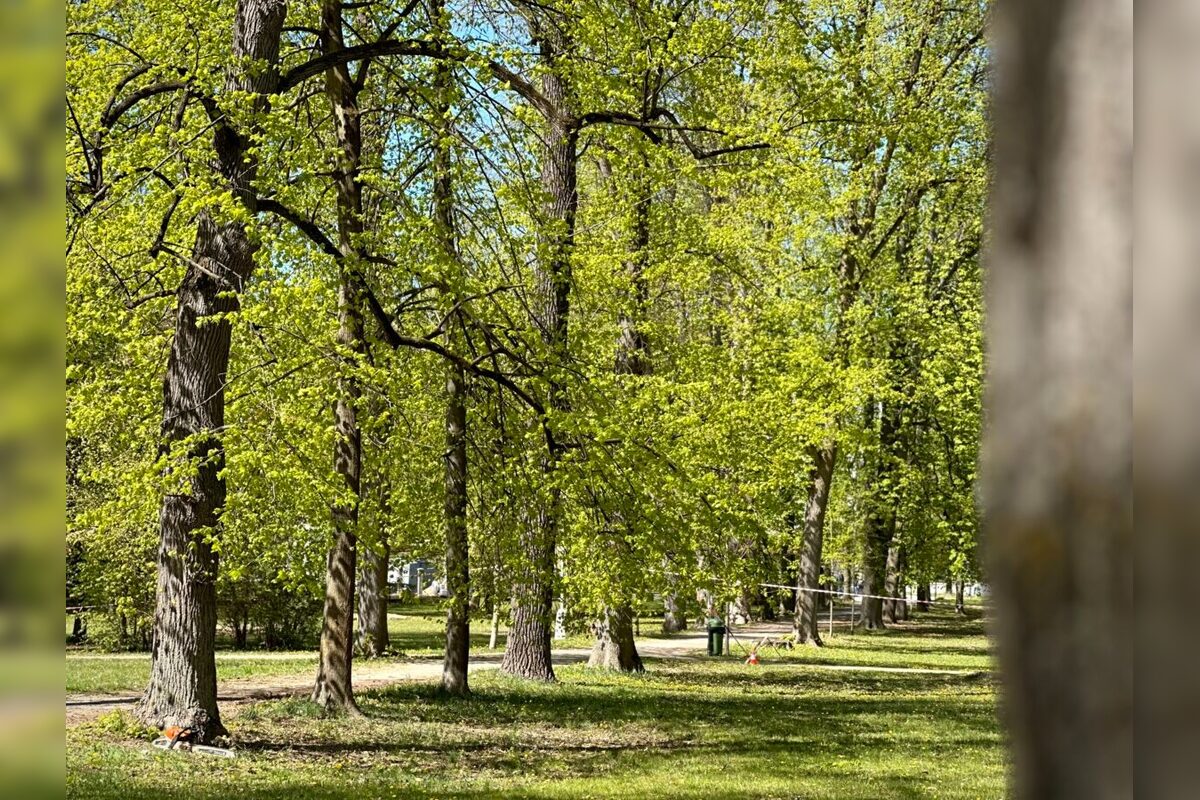 FOTO: Banskobystrický park čaká nová éra, foto 1