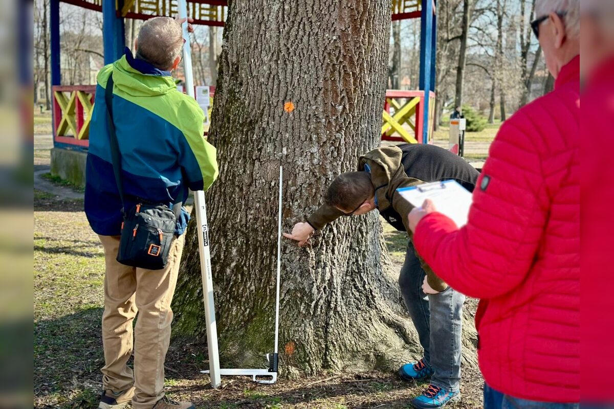 FOTO: Banskobystrický park čaká nová éra, foto 2