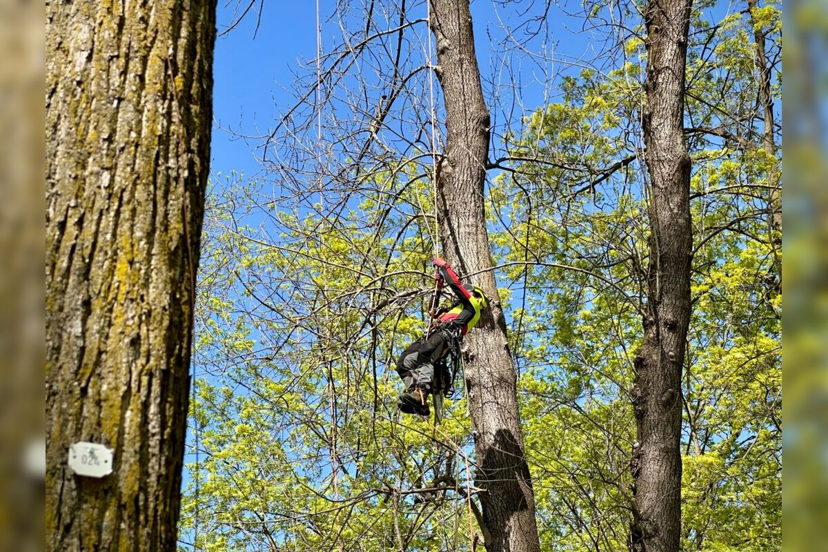 FOTO: Banskobystrický park čaká nová éra, foto 5