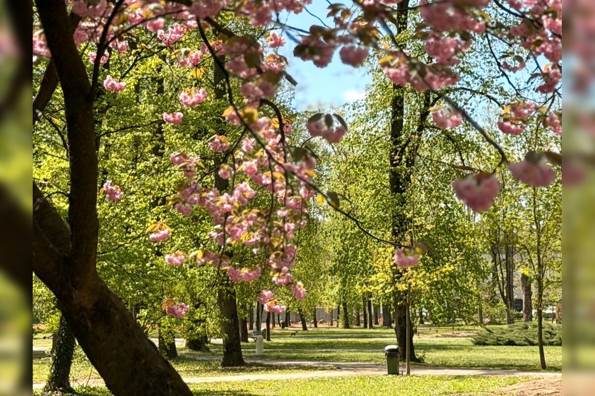 FOTO: Banskobystrický park čaká nová éra, foto 6