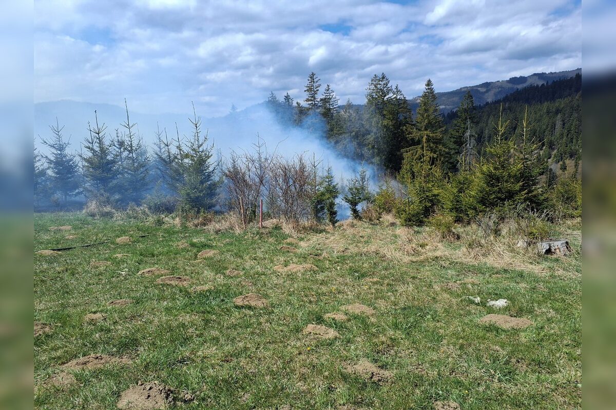 FOTO: Lesné požiare zasiahli dve lokality na Slovensku, foto 1