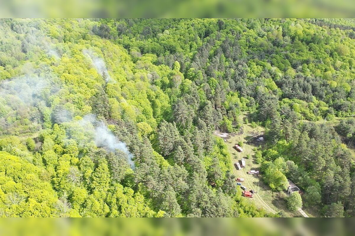 FOTO: Lesné požiare zasiahli dve lokality na Slovensku, foto 2