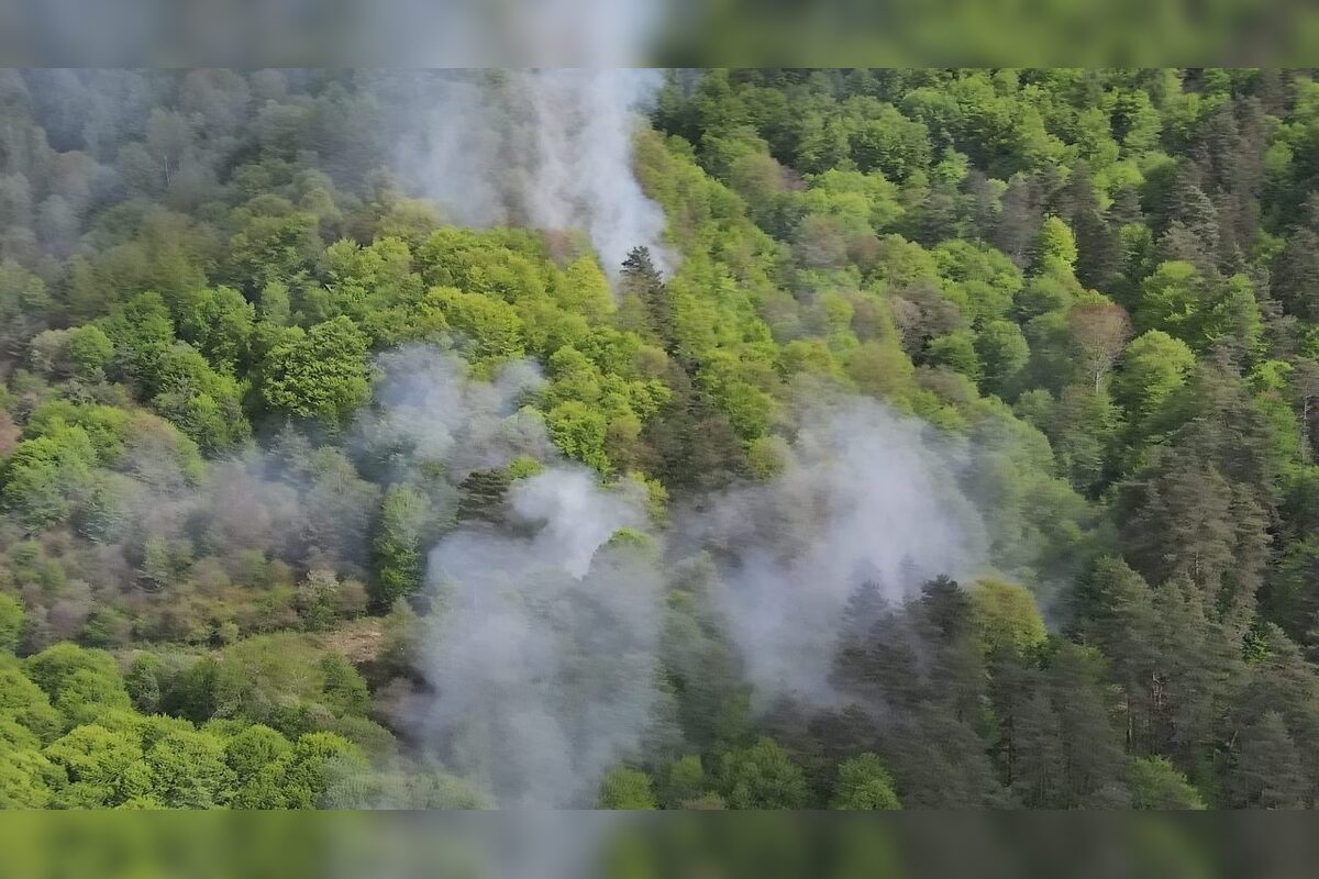 FOTO: Lesné požiare zasiahli dve lokality na Slovensku, foto 5
