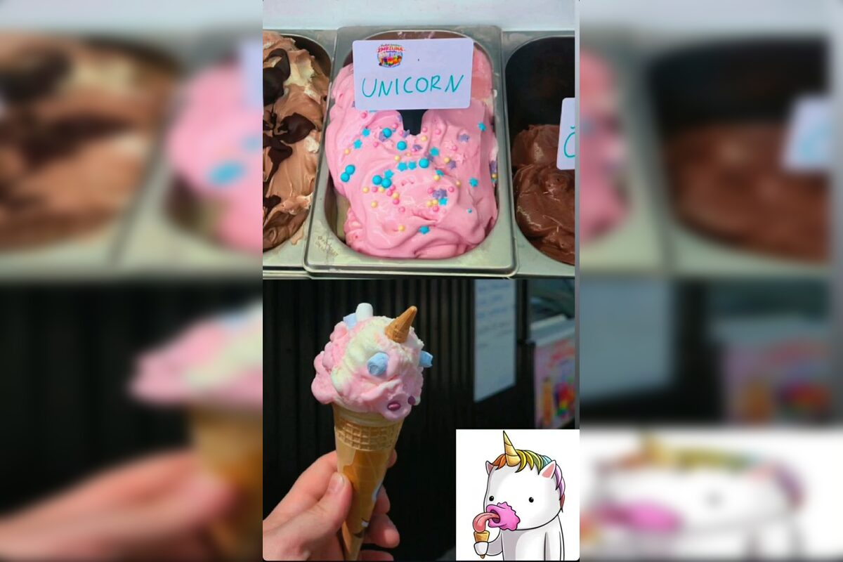 FOTO: Ponuka v Zmrzline u Andrejky, foto 3