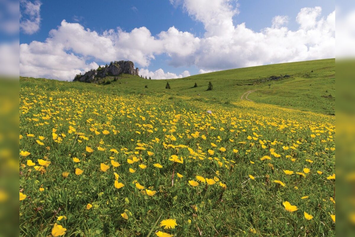 FOTO: Turbus vás odvezie do jednej z najkrajších častí Veľkej Fatry, foto 7