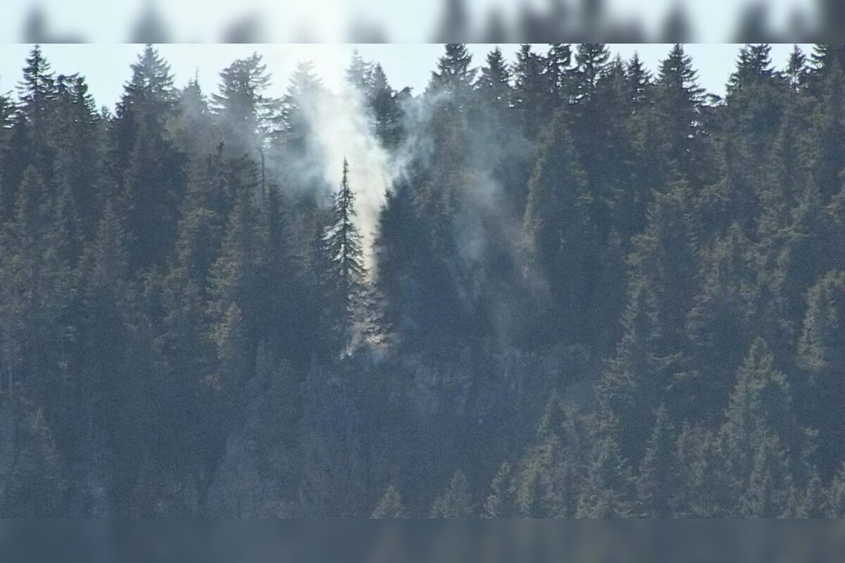 FOTO: V katastri obce Hriňová horí les, bojujú s ním desiatky hasičov, foto 3