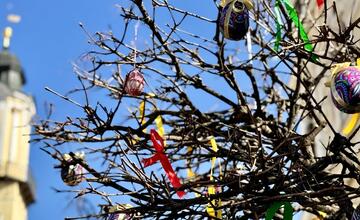 FOTO: Jar v Banskej Bystrici