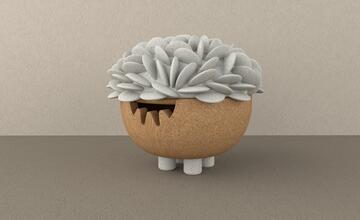 FOTO: Študentky zvolenskej univerzity idú do Milána prezentovať svoje diela