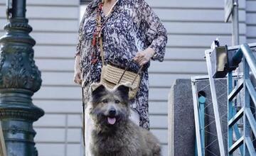 FOTO: V českom filme sa objavil psík zo zvolenského útulku