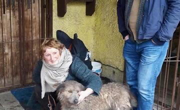 FOTO: V českom filme sa objavil psík zo zvolenského útulku