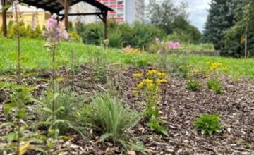 FOTO: Banská Bystrica bojuje proti klimatickým zmenám